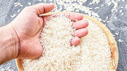قیمت برنج ایرانی امروز ۱۸ مهر ۱۴۰۵ / برنج طارم، فجر و هاشمی چند قیمت خوردند؟ + جدول