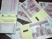 فوری/ واریزی دو میلیونی دولت برای این افراد + ویدئو