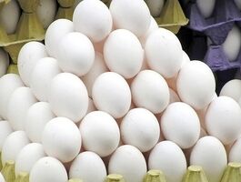 قیمت واقعی تخم‌مرغ اعلام شد؛ گرانتر نخرید