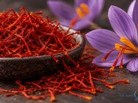 زعفران ۳۵۰ میلیون تومانی در راه است؟ / طلای سرخ ایران در آستانه یک فصل سرنوشت‌ساز