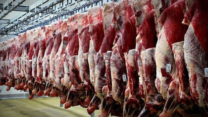 قیمت واقعی گوشت قرمز اعلام شد