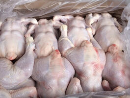 قیمت رسمی مرغ اعلام شد/ گرانتر نخرید + جدول