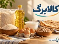 وارد دولت من شدید اما اعتبار کالابرگ اضافه نشد؟ / دلیل واریز نشدن پول مشخص شد